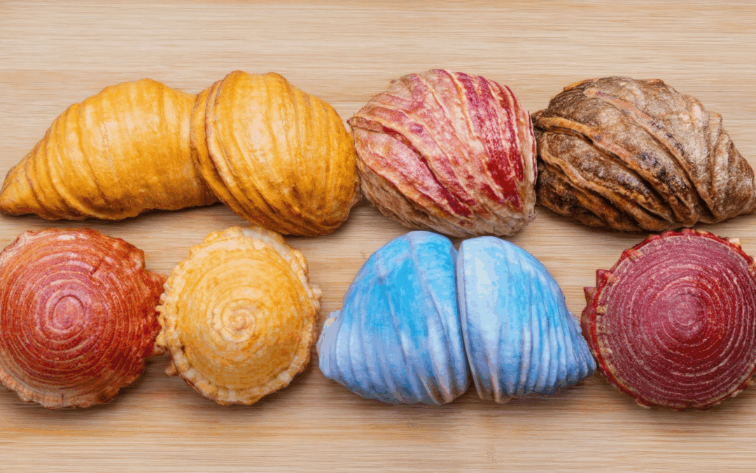 Conchas with Bright Colors: A Comprehensive Guide to Types, Flavors, and Differences