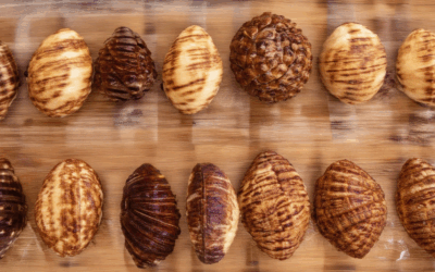 Exploring Conchas with Unique Flavors: From Traditional to Unexpected Varieties