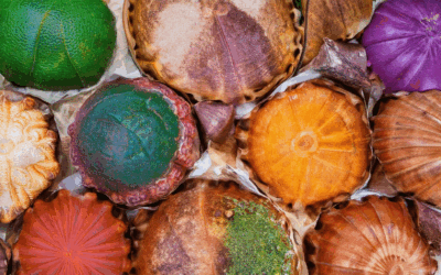 Exploring Colorful Conchas for Parties: Colors, Flavors, and Pairings